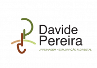 Davide Pereira
